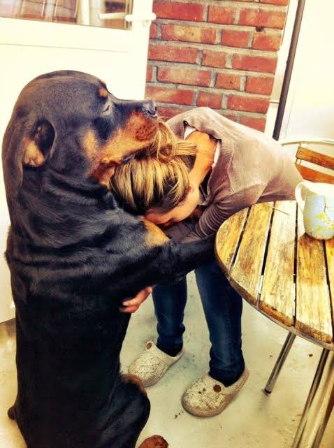DiloConPerritos's tweet photo. Gracias por estar cuando siento que el mundo se viene encima y ya no puedo. https://t.co/Dce8HOM5Li
