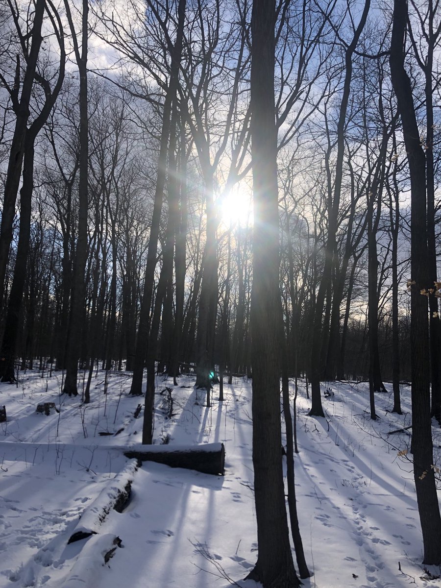 Great to get out on the #BruceTrail this weekend. Thankful and feeling somewhat guilty for the freedoms I have and take for granted far too often. #HamOnt #Gratitude