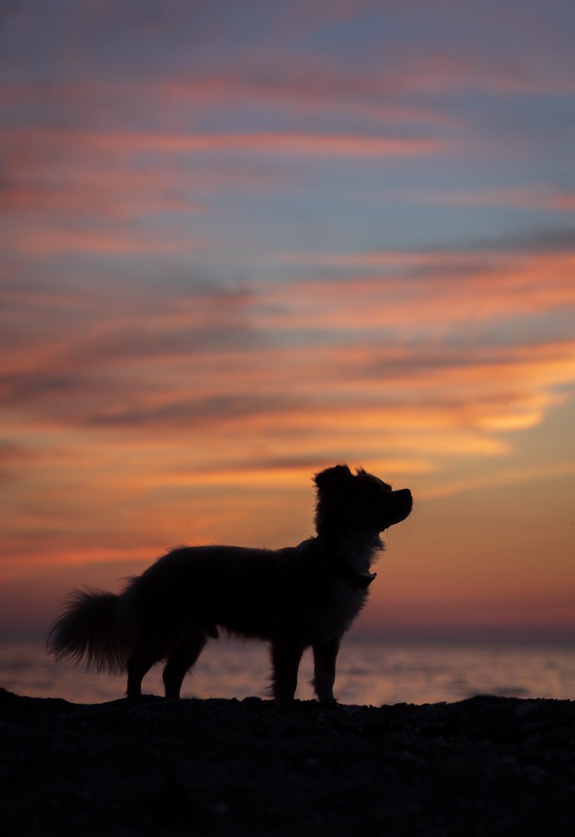 <a href="/AlbaAmongRoses/">Alba</a> 🧡