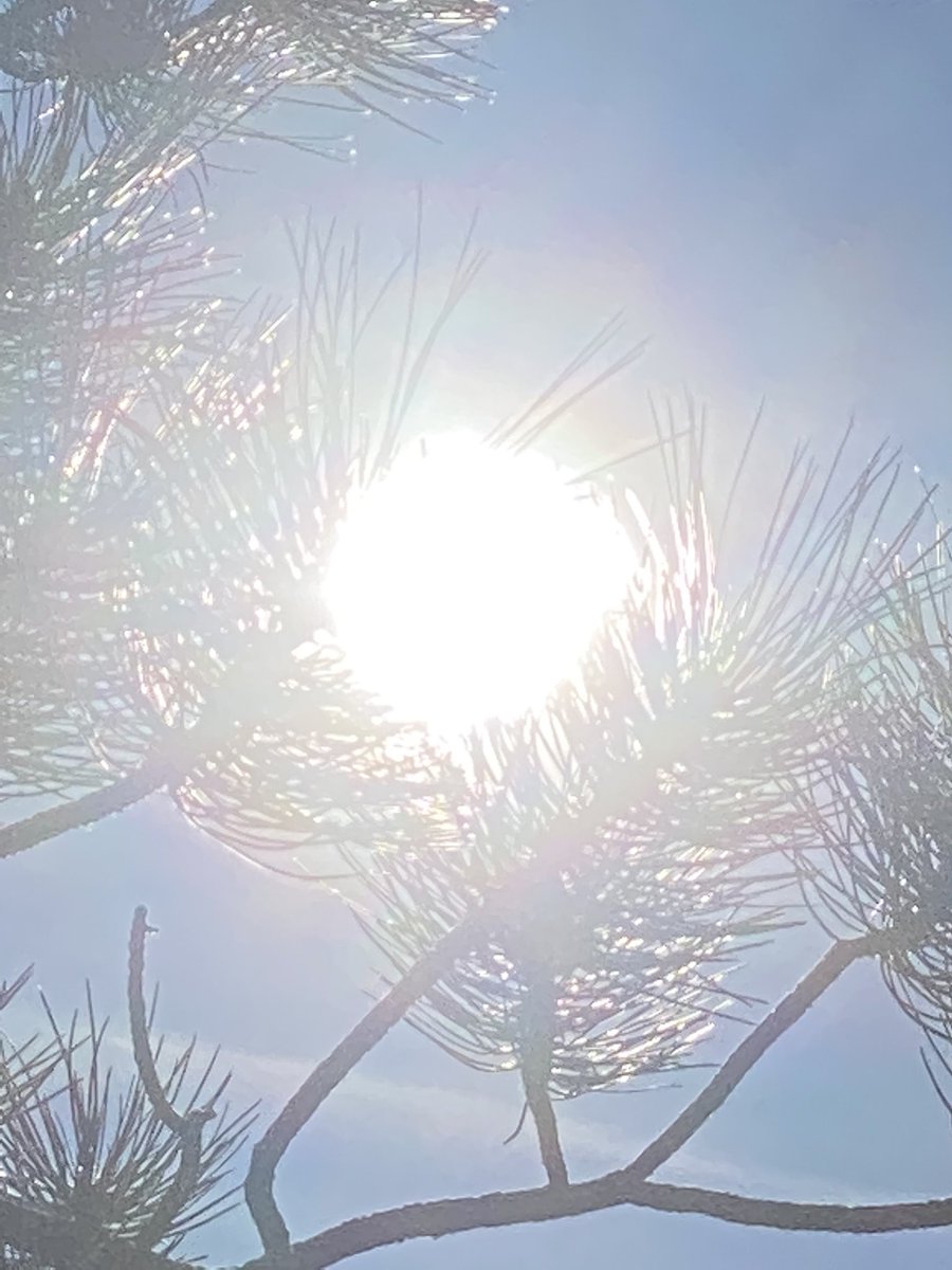 reflect10133017's tweet image. #blessedbeyond