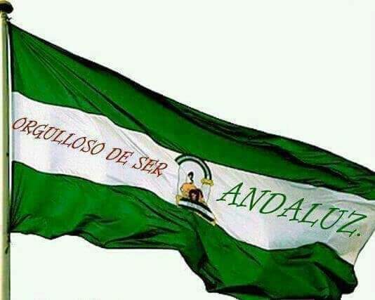 Carmen45465296's tweet photo. #28F Fuera #Trifacho de mi Andalucía libre de fascistas.
#OrgulloAndaluz 💚 🤍 💚 https://t.co/y1behcSj8g