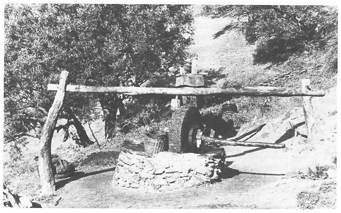 the_kabyle's tweet photo. Tisirt n zzit deg At Yetturaɣ di 1940 https://t.co/bSgJFmFbFs