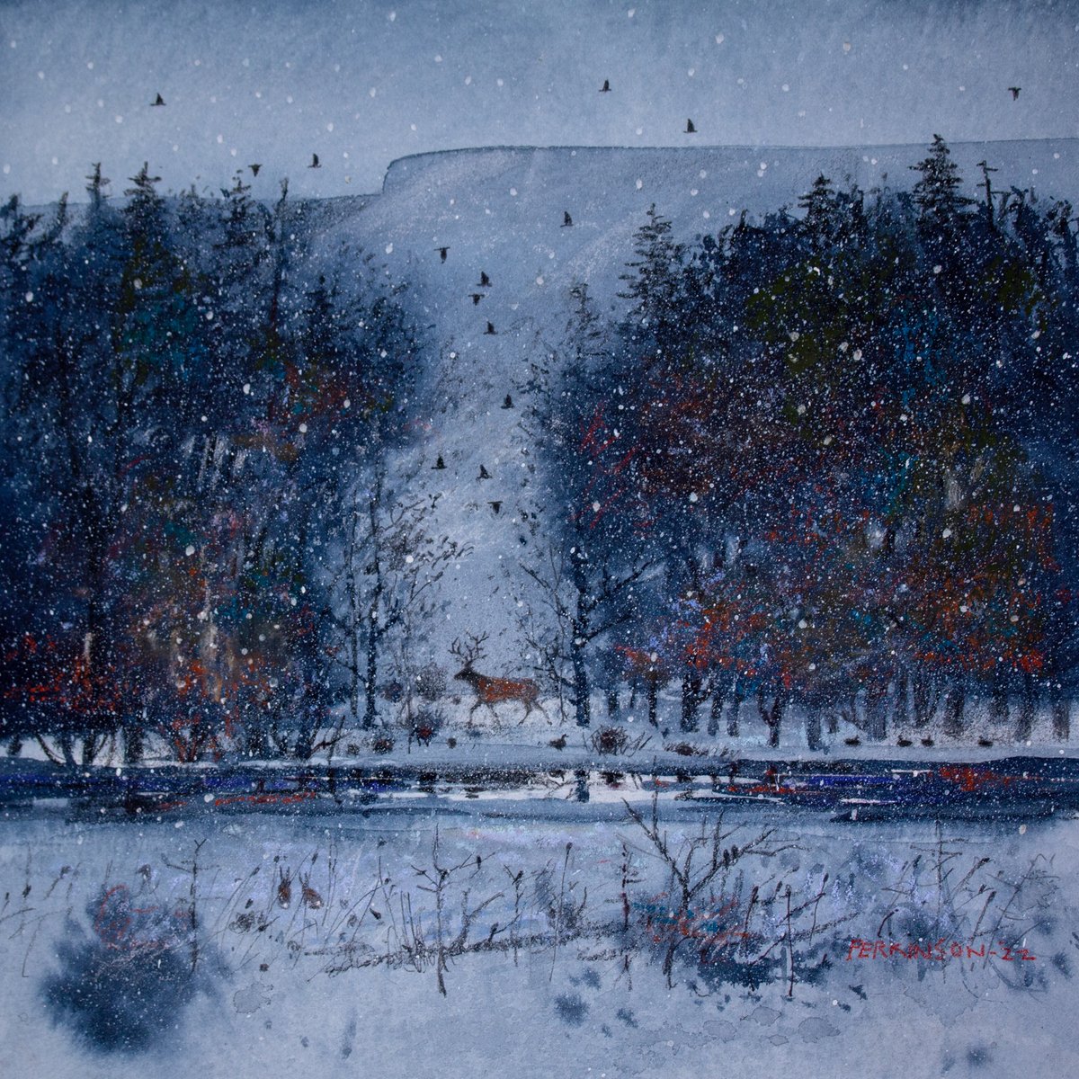 Tom Perkinson tweet media