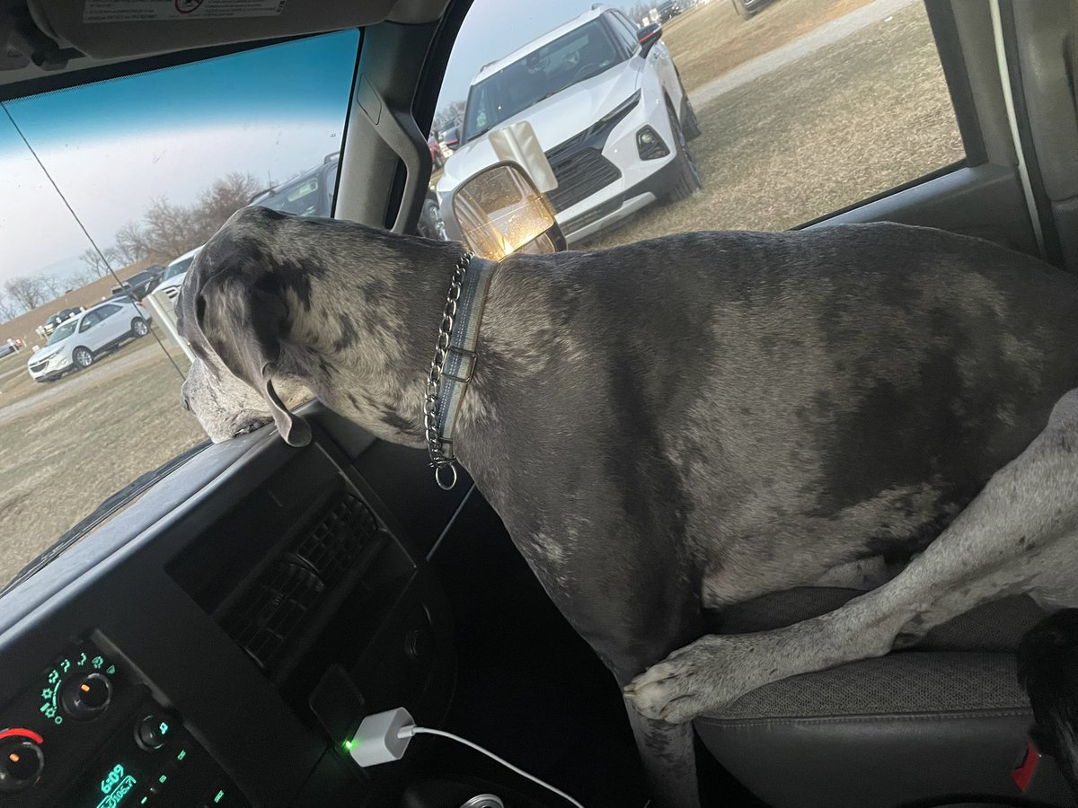 Ice breaker stressed a boy out!