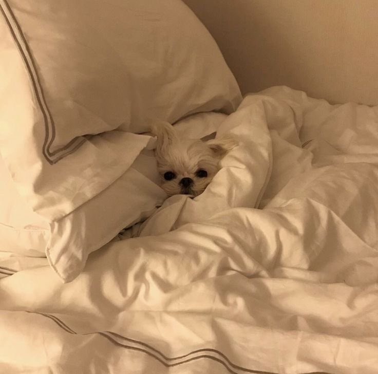 Mood de domingo: