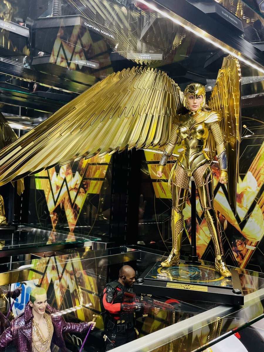 jojoagogo6215's tweet photo. 怖いもの見たさでボーナス版にしてみたワンダーウーマン(ゴールドアーマー)予想はしてたけど…マジで大きさハンパない…ホットトイズさん容赦ないっす😂
#hottoys
#WonderWoman1984
#GoldArmor https://t.co/XrRqGCGRL4
