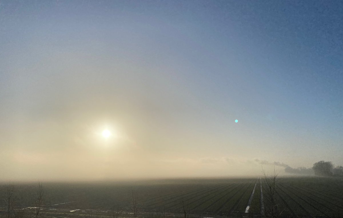 Deze week zag het er zo uit.