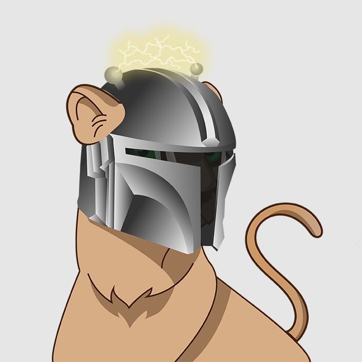 Random Cat tweet media