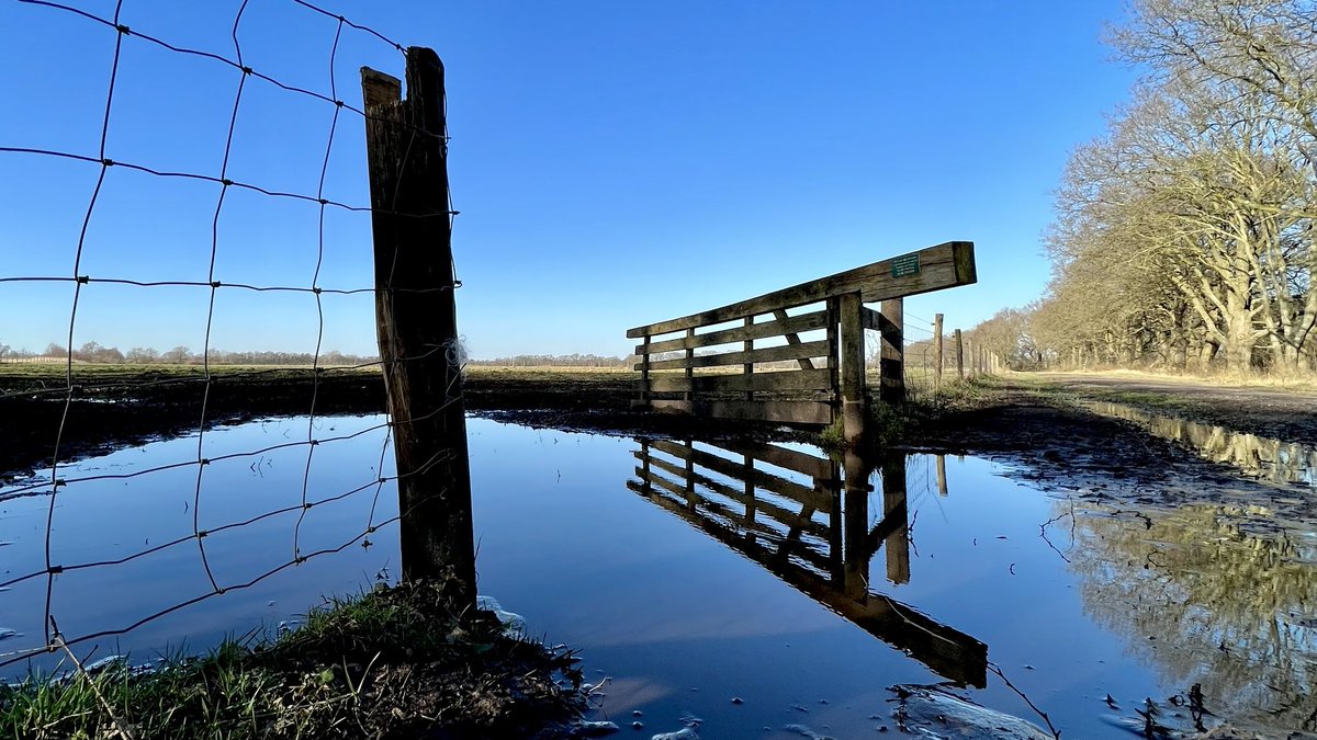 #Hek #Balloërveld ⁦<a href="/ProvDrenthe/">Provincie Drenthe</a>⁩  ⁦<a href="/drentslandschap/">Het Drentse Landschap</a>⁩ ⁦⁦<a href="/ProvDrenthe/">Provincie Drenthe</a>⁩ ⁦@St_Pieterpad⁩ ⁦⁦<a href="/RTVDrenthe/">RTV Drenthe</a>⁩