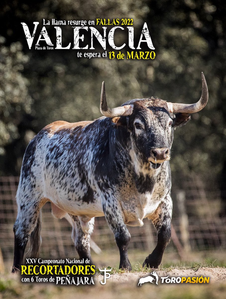 toropasion's tweet photo. 🐂🙈 ¡Valencia te espera el 13 de marzo! El Campeonato Nacional de Recortadores contará con 6 espectaculares toros de @Decastajijona y 20 héroes del toreo a cuerpo limpio. 

¿Qué os parece este maravilloso ejemplar?

🎟 🔜 toda la info y venta online en https://t.co/phnrmAgIWa https://t.co/FTiE1Z0GEw