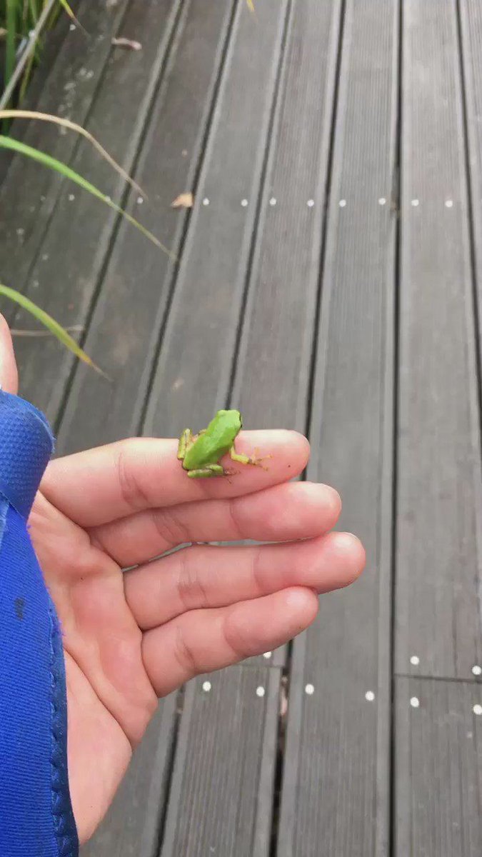 Ben artık bunu giyip konsere gitmek ve "Namjoon beni hatırladın mı ? "  yazılı pankart taşımak istiyorum 😁