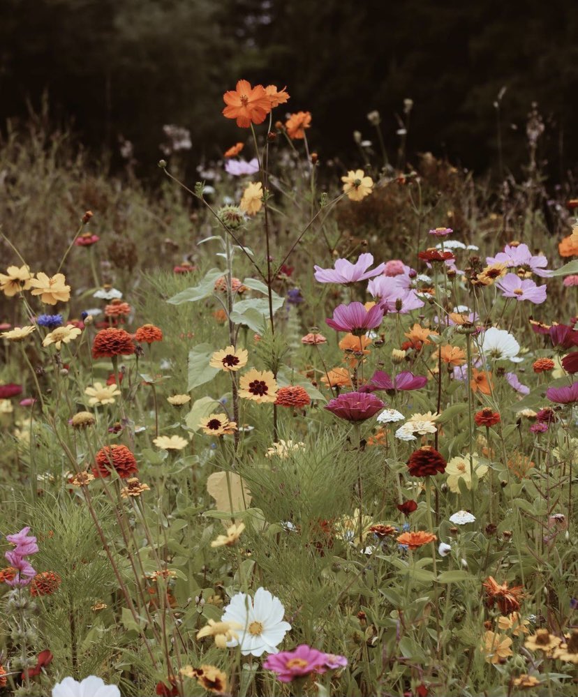 . (@fiowerposts) on Twitter photo 