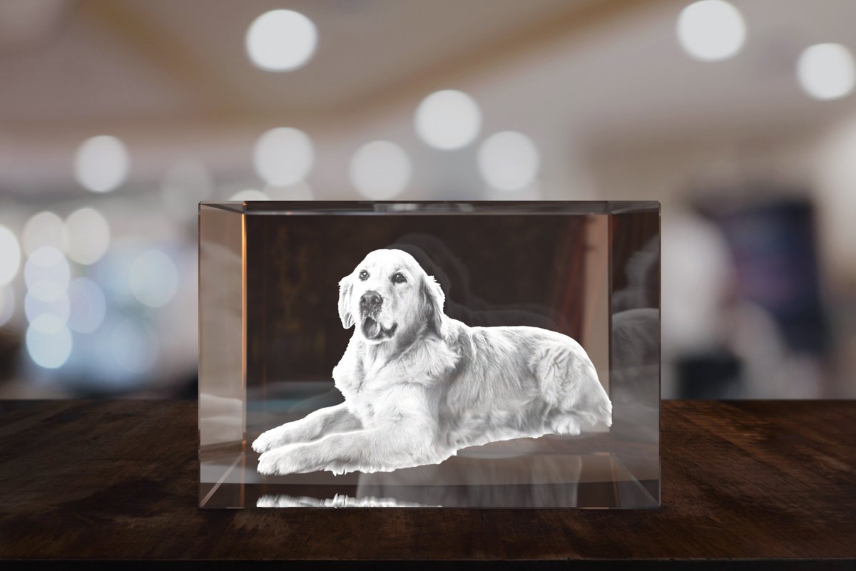 Masterpics tweet media