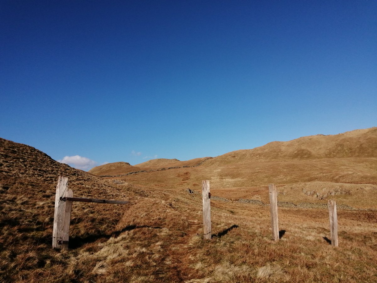 LinnettHill's tweet photo. Probably our WINDIEST WALK EVER today!! π³
We went up to #AngleTarn from #Glenridding and back down towards #BrothersWater and #Patterdale
Not a cloud thankfully otherwise it would have been beyond freezing βοΈ
#Keswick #TheLakeDistrict #Cumbria https://t.co/MvaQz3H662