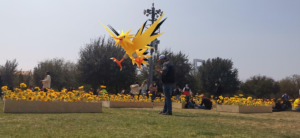 goldenRoyb's tweet photo. En el pokémon go tour 2022 @7ElevenMexico #GO7Eleven https://t.co/xcsBpPZflg
