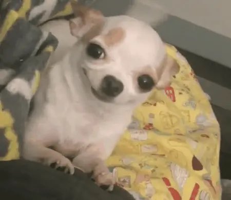 ╱ ╱ DRAMA, DRAMA, ADORO EL DRAMA.