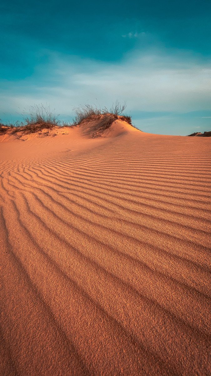 Ruslan Samovarov tweet media