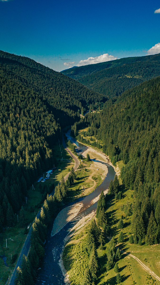 Ruslan Samovarov tweet media