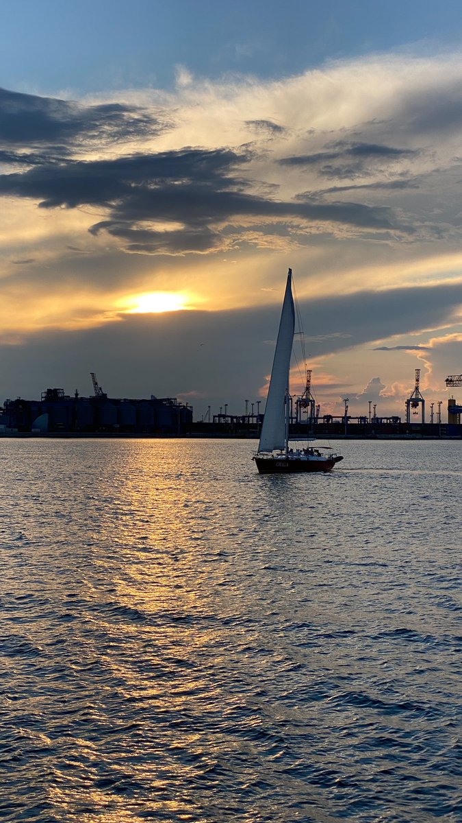 Ruslan Samovarov tweet media