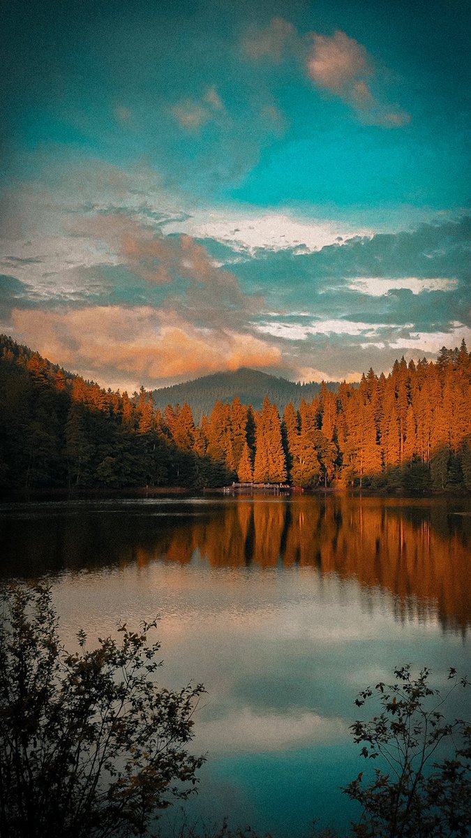 Ruslan Samovarov tweet media