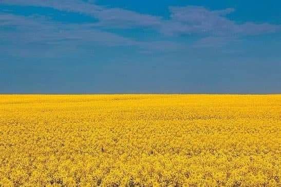 The Ukrainian flag signifies a blue sky over wheat and corn fields.

Appeared for the first time in 1917, then adopted during independence in 1992.