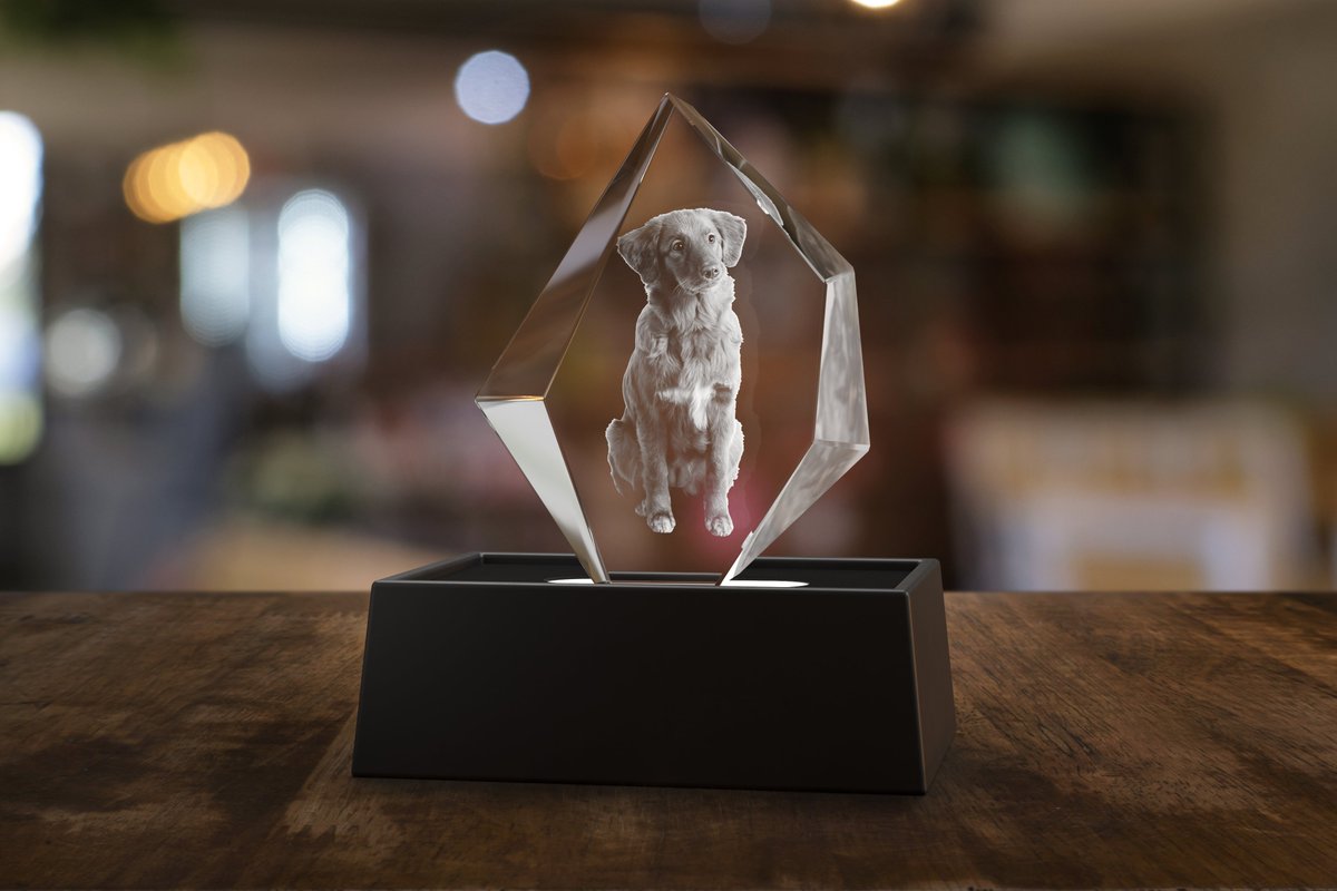 Masterpics tweet media