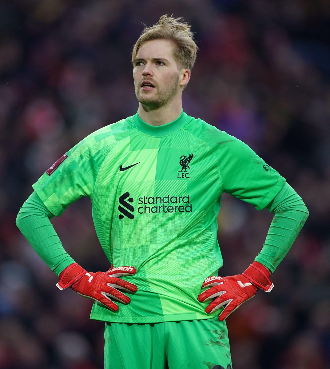 Yessssssss Kelleher #CHELIV

Retweet if you love this guy!!!!!