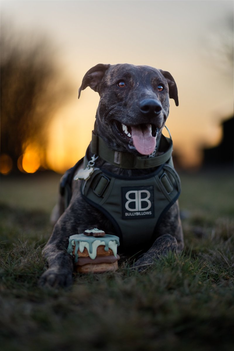 Eris | Oberon | Samson tweet media