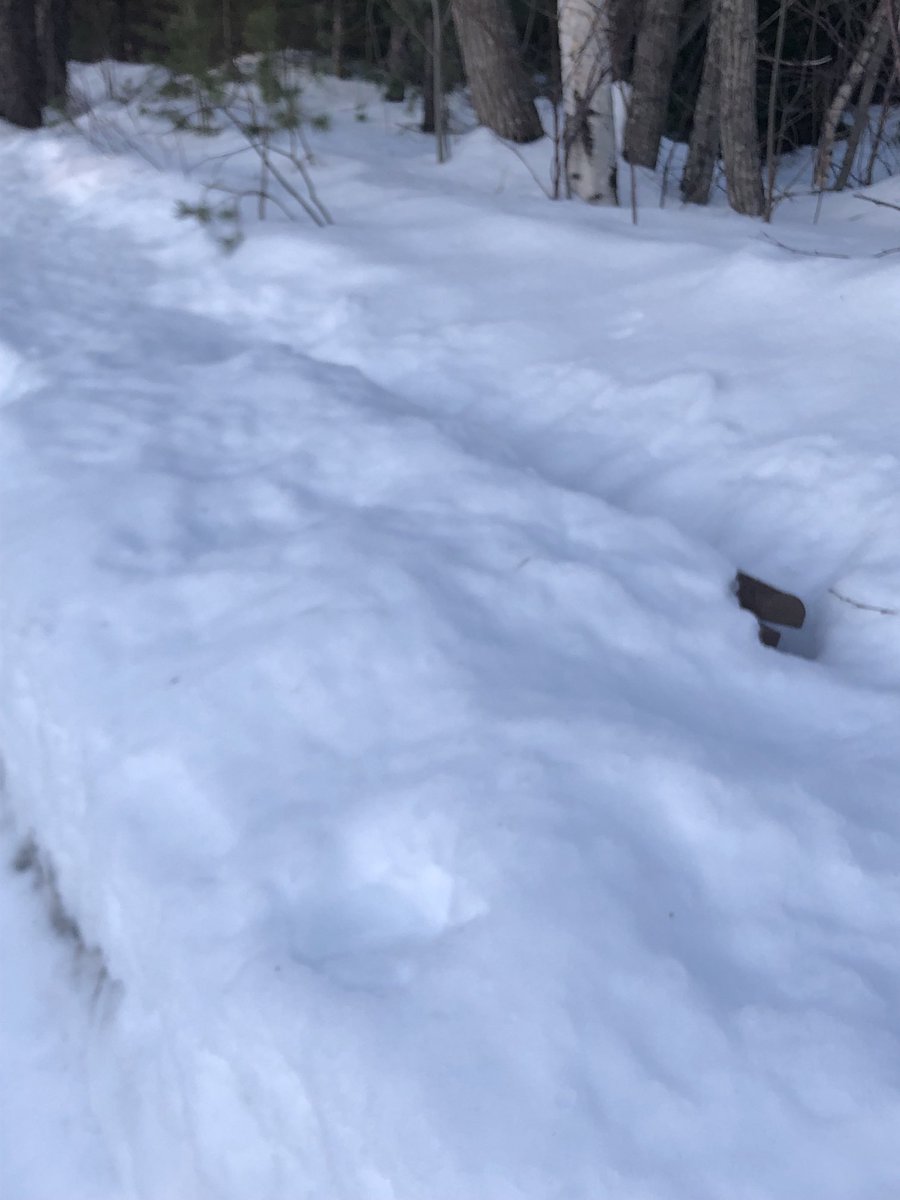 ruthbs's tweet photo. Days getting longer and brighter! Still a lot of snow and difficult to rest on this bench! #soonSpring https://t.co/mRrM1LcRB2