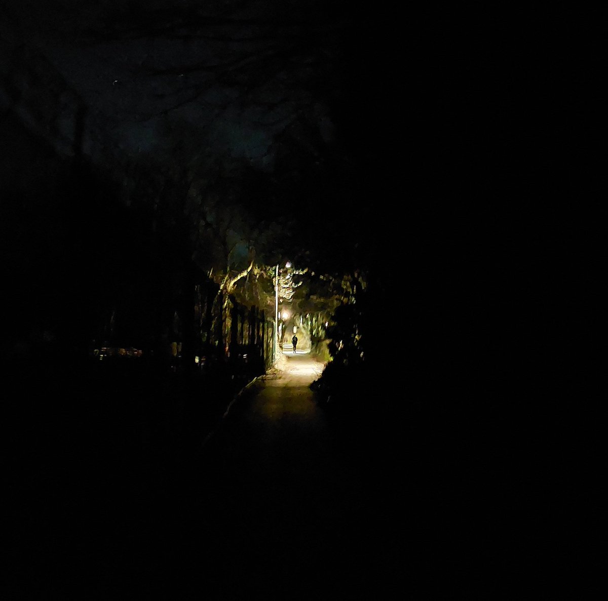 Hike1000miles's tweet photo. Sunday run, and the town looks abandoned 🌃😃🏃‍♂️
#getoffthechair #run #running #night #city #urban #Street #abandoned #dark #cityrun #urbanrun #photography #Sunday #ghosttown #ghost #exercise #Bridge #architecture https://t.co/jSEY3LHTCz
