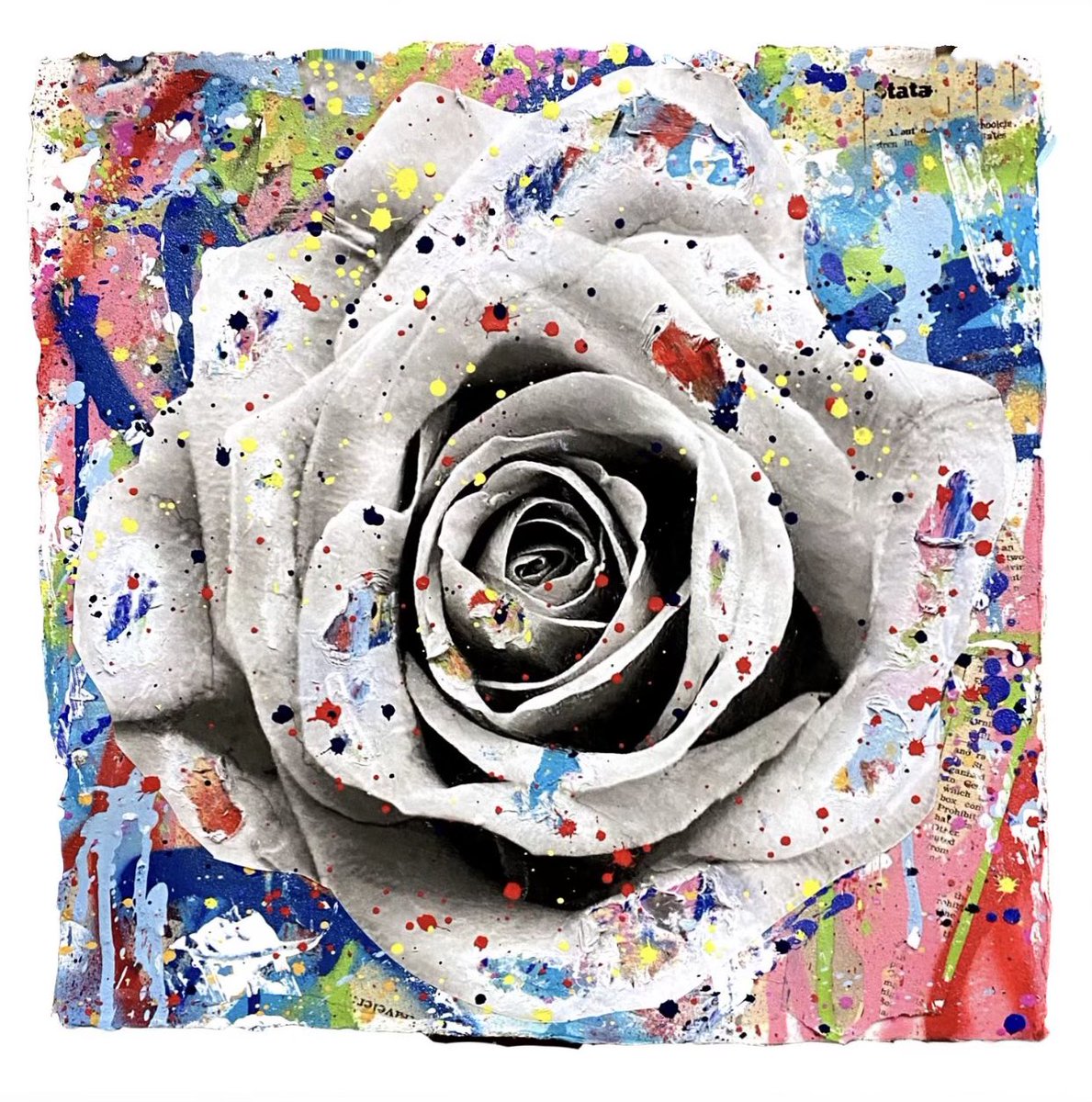 📸SNAPSHOT COMING TONIGHT📸

The Top 5 holders will get to work with Seek One to design their own commissioned 2'x2’ painting on French cotton blend paper ($3K value)

20 Hand-made Seek One Signature Rose paintings will be raffled off to holders of 5+

Only 26 holders of 5+ atm👀