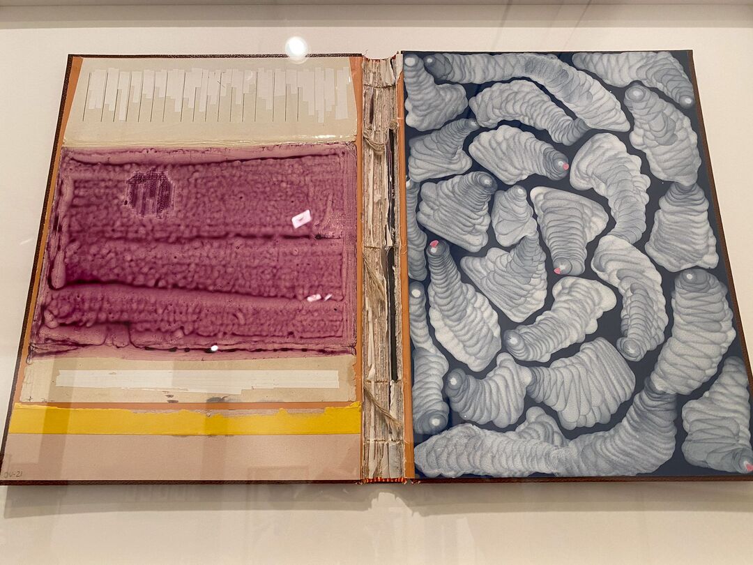 el lápiz colorao tweet media