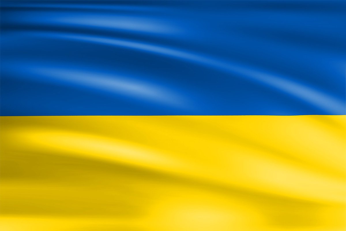 ❗️❗️❗️❗️❗️❗️❗️
Maximum repost!!! On February 28, 2022, all NFTs will be put up for sale. The proceeds from the sale will be used to support the Ukrainian army in confronting the invaders.
Our support means a lot to them!
❗️❗️❗️❗️❗️
opensea.io/collection/oil…
#NFT #Art #Painting