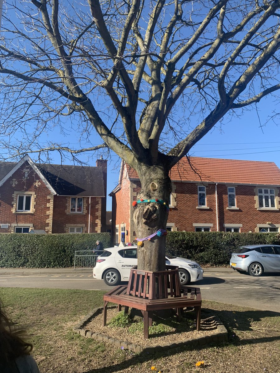 ellison1604's tweet photo. Guessing it doesn’t count as a #ThingsFoundInTrees but I thought you would like it @MrJHessel https://t.co/QCuyYgUdHm