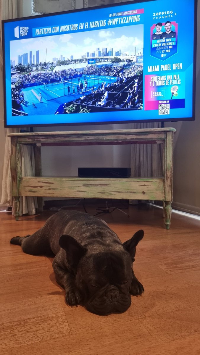 elisenerman's tweet photo. #WPTXZAPPING #chimodeportista https://t.co/8uvHFkNEXG