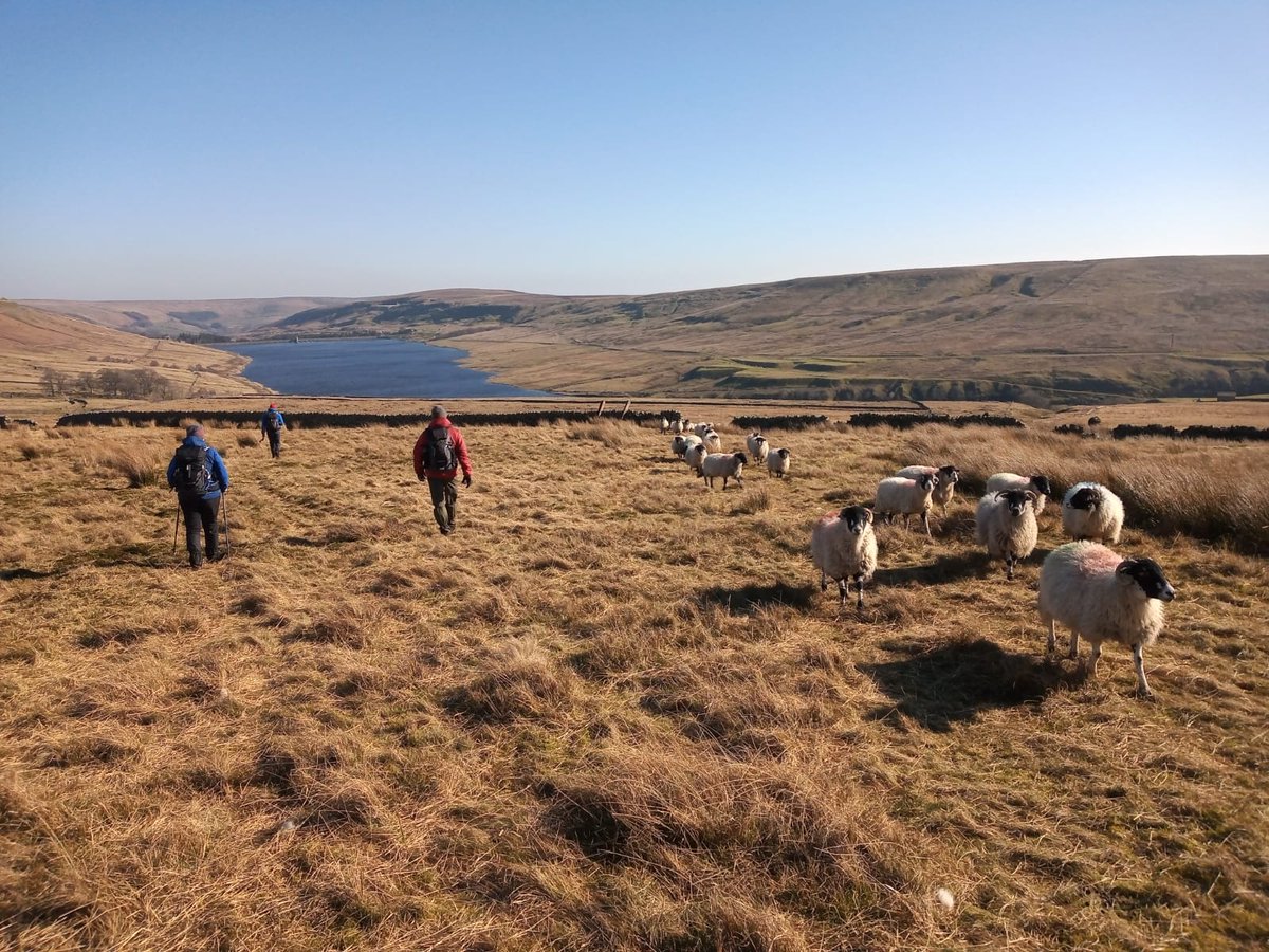 Steve72Outdoors's tweet photo. Few more pictures from today's walk in @yorkshire_dales #nidderdale #LittleWhernside #scarhousereservoir courtesy of sister-in-law #getoutthere #getoutside https://t.co/Qn6Xp0zuXa