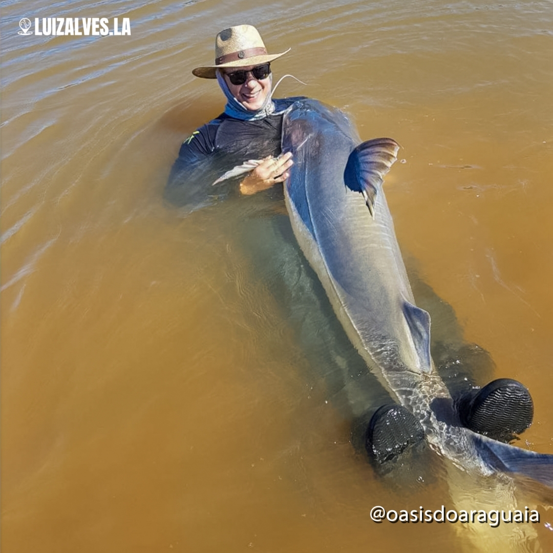 LuizAlvesLA's tweet photo. O @oasisdoaraguaia esta com pacotes imperdíveis para a pescaria dos seus sonhos.

A Temporada de pesca 2022 promete!!!!
🐟🦈🎣🚤🏖☀🍻
Entre em contato 61 98410-0502 e marque agora sua próxima pescaria.

Pescaria🎣 com o guia @cleitonguia https://t.co/lAPAXSUOoP