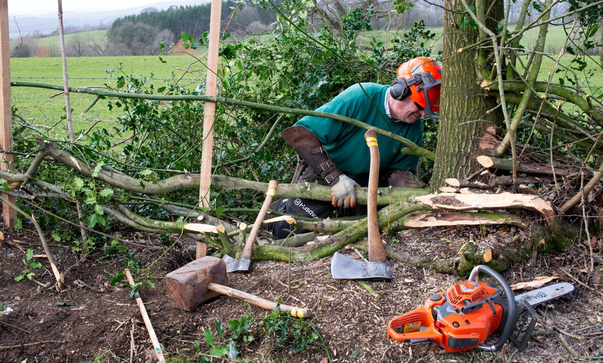 <a href="/PendleHillLP/">Pendle Hill Landscape Partnership</a> Bowland hedgelaying comp., at Downham, Sat 26 Feb. Novice to highly skilled competitors from Lancs and Westmorland, judged on such as neatness, quality of cuts, use of stakes, overall apperance. A vital rural skill that benefits wildlife,farming and the landscape