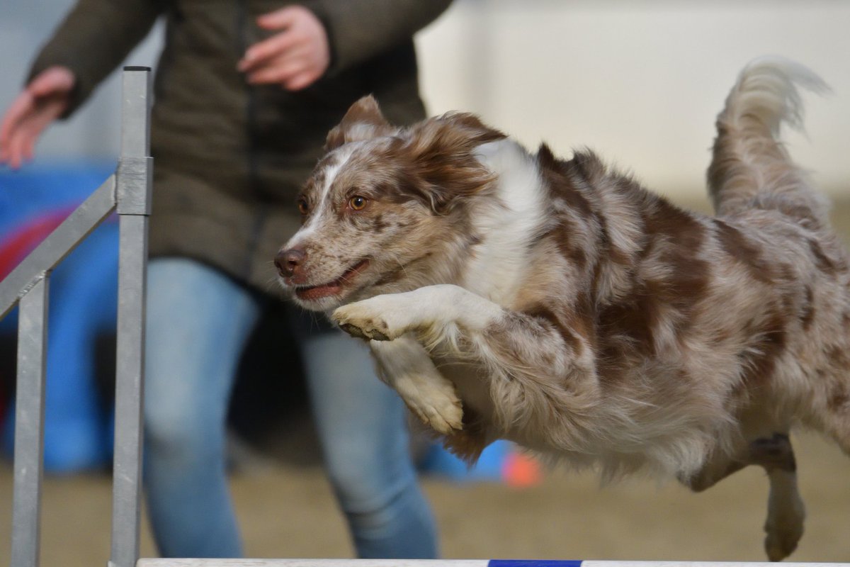 Faya & Lynn tweet media