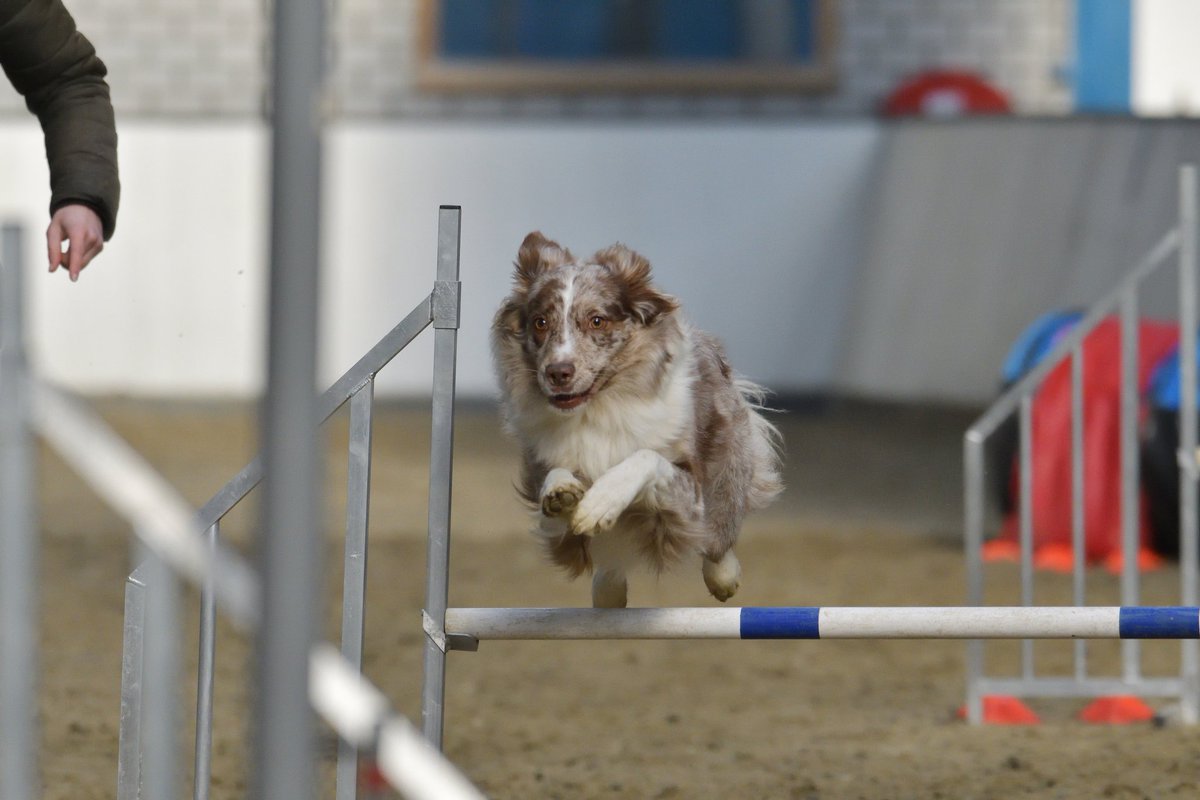 Faya & Lynn tweet media