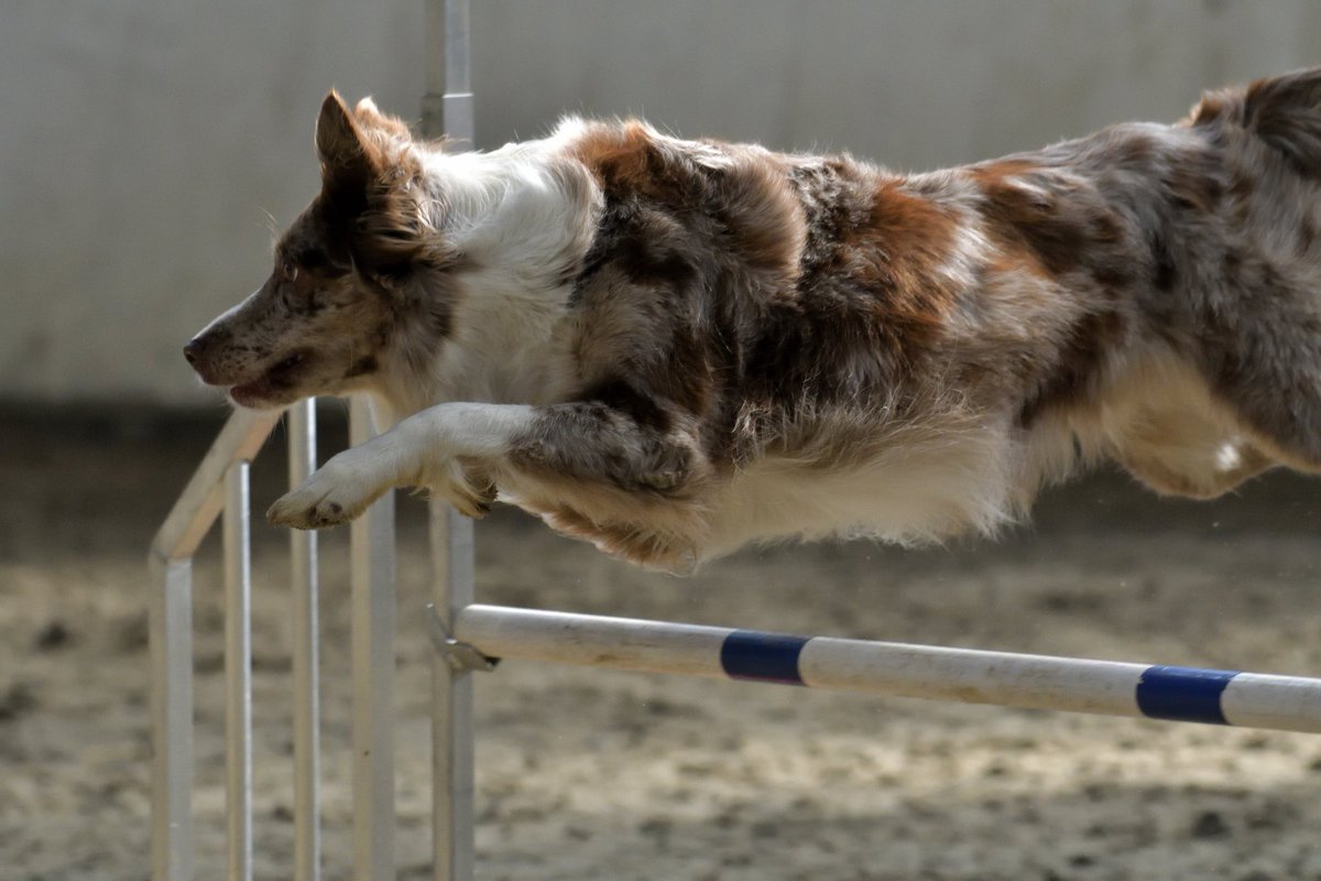 Faya & Lynn tweet media