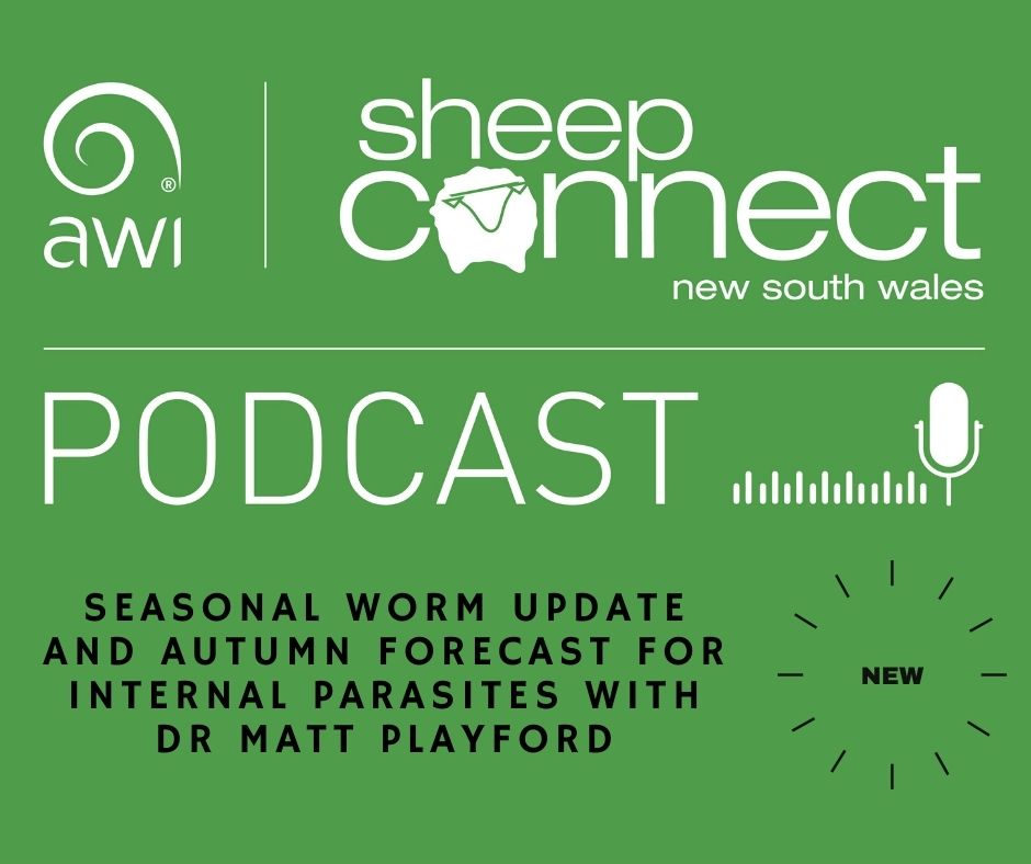 NEW PODCAST OUT NOW!😀

Seasonal worm update and Autumn forecast for internal parasites with Dr Matt Playford.

Listen on Spotify or Apple Podcast: ⬇️

spoti.fi/3Ht1Imm

apple.co/35vIVtd

#sheepworms #barberspoleworms #sheephealth