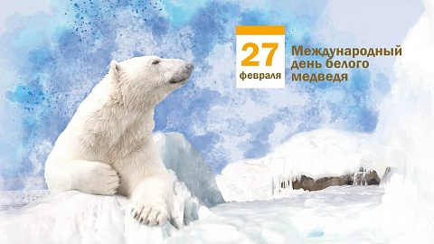 Александр Косичкин (@alexandr_kos) on Twitter photo 