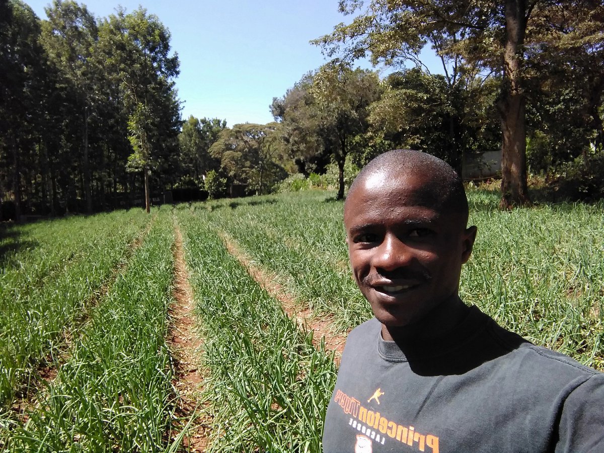 The best business deal is in the soil.