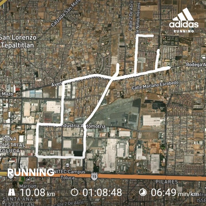 MITellezG's tweet photo. #HappySundayRun
#TortuguitaCorredora https://t.co/Hcx4MAExP0