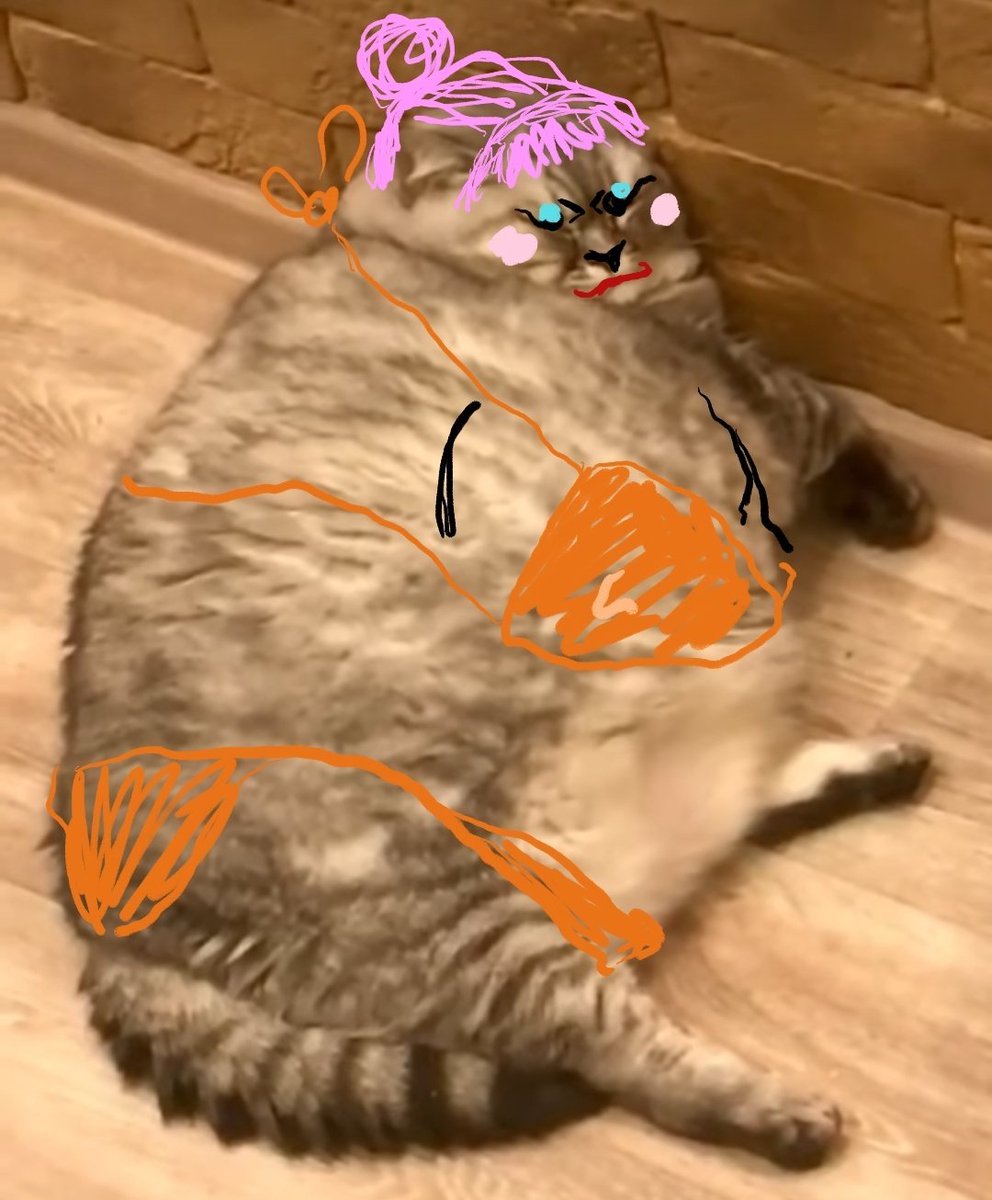 arthoarse's tweet photo. Beauty is not one size fits all https://t.co/rHvK6E0dza