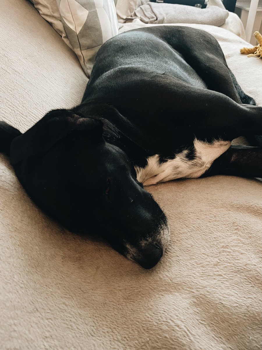 Activate Sunday mode 😴