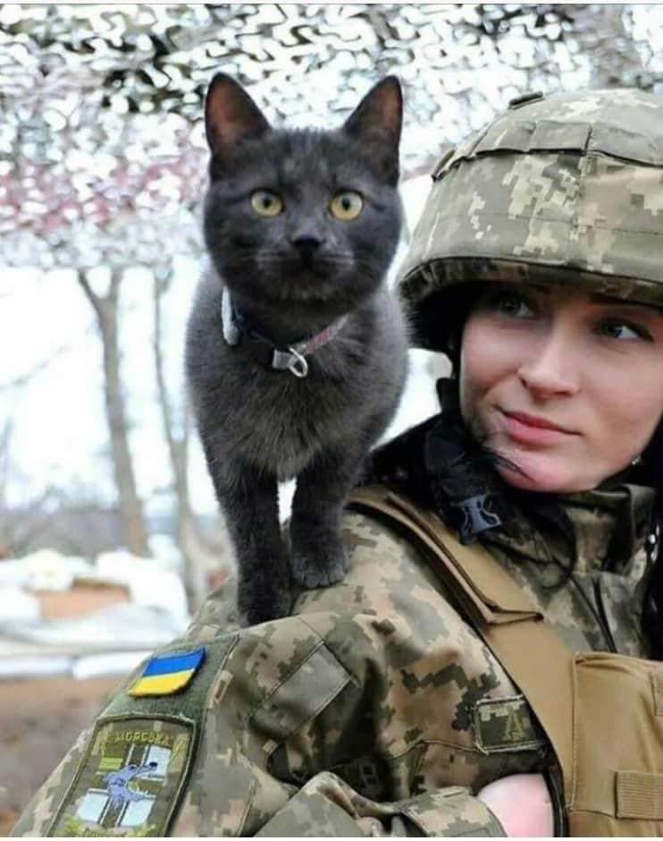 Ukrainian Soldier and Her Cat