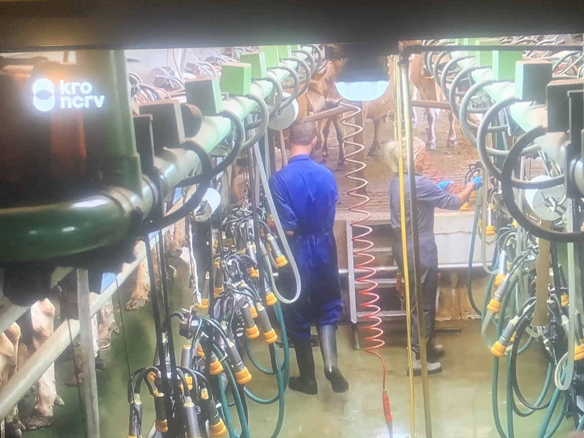 roosvonk's tweet photo. Ik gun al die boeren een gelukkige liefde, maar Yvon Jaspers stop toch eens met doen alsof dit prima is. Kalfjes weggehaald bij hun moeders die als productiemachines worden gebruikt, om ons de melk te geven die ze voor hun kalf hebben gemaakt. #bzv https://t.co/6ySZ4CMO0r