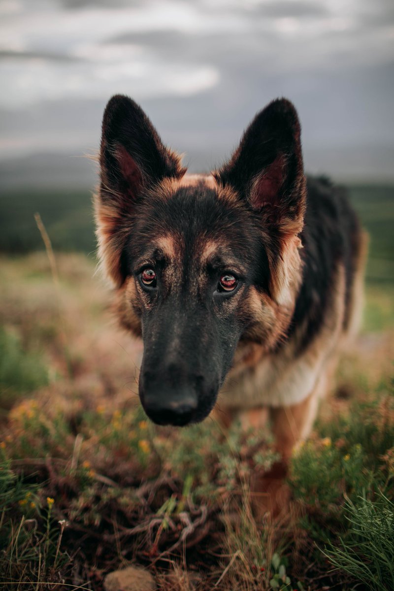 wanderin.wild tweet media